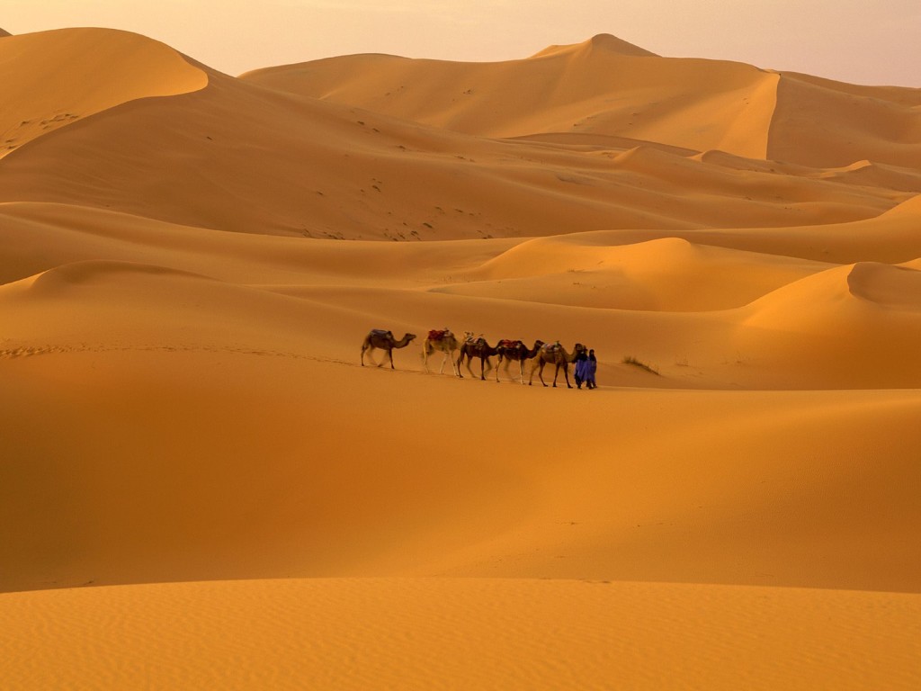 Sahara_Desert,_Morocco