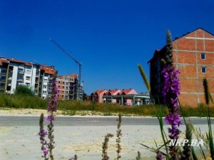 kalesija 28. juli 2013. 11