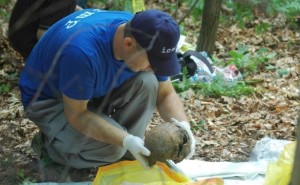 posmrtni ostaci crni vrh 3