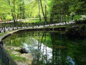 vrelo bosne