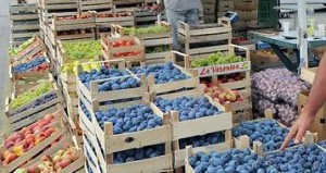 prodaja voca i povrca