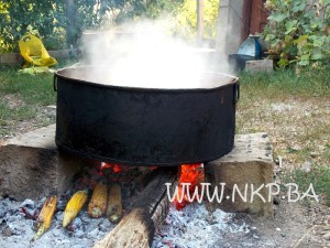 sijelo hajvazi 1