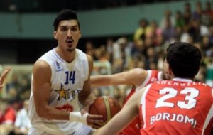 nihad djedovic