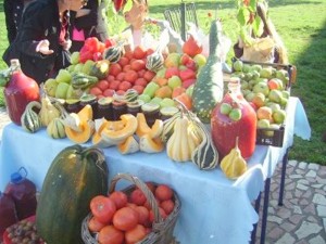 SAJAM kalesija 2013 7