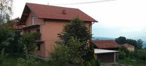 provala kuce u jajicima
