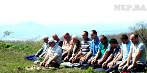 doviste orlic hajvazi