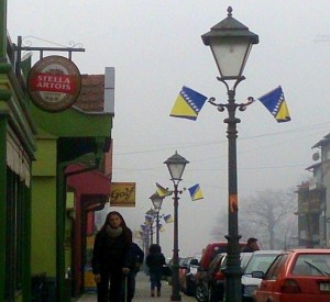 krug zastave bih
