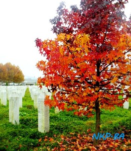 srebrenicki ljiljan 2