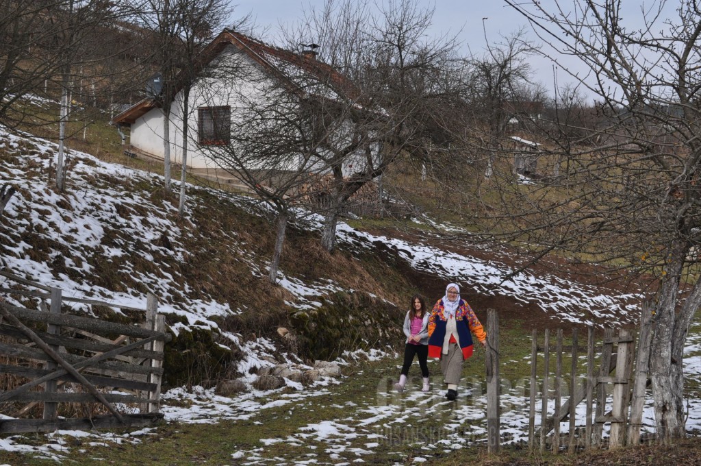 povratnici ilustracija