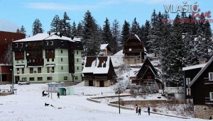 vlasic-decembar-2014