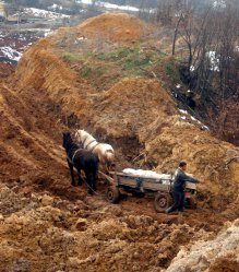 dubrave-sverc-219x249