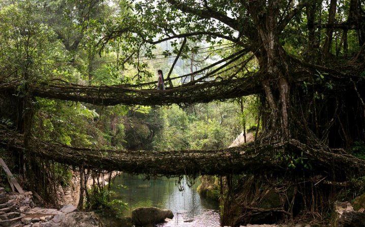 Foto: Getty Images (Most od bambusa u selu Cherrapunji, Indija)