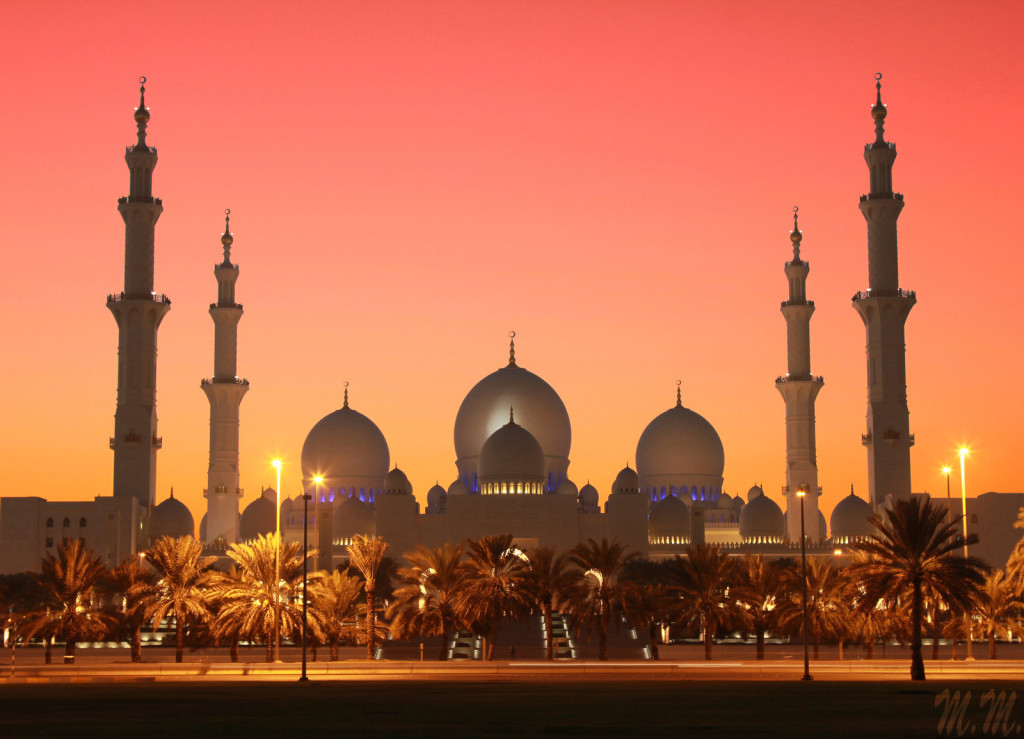 Sheikh Zayed 8