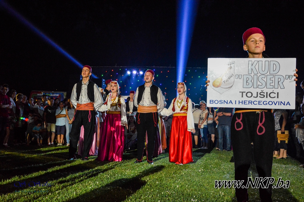 Pozdrav iz Tojšića (6)