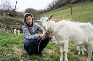 JASMIN HACKIC KOZE