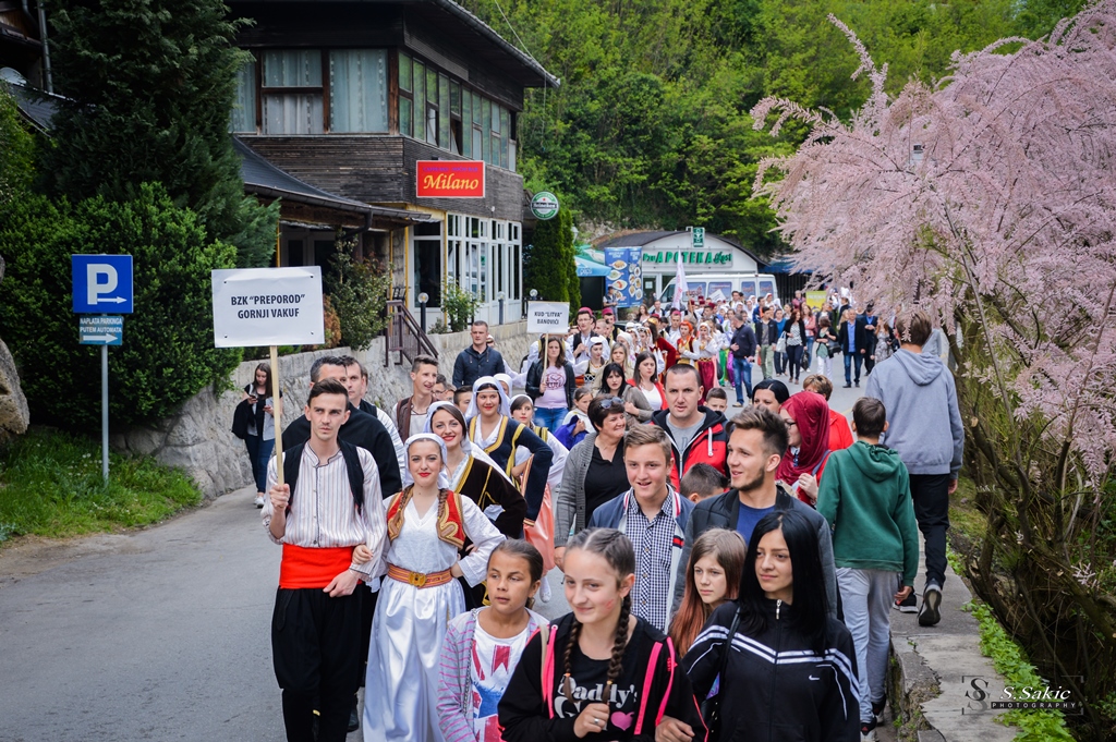 medjunarodna smotra Jajce (6)