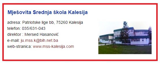 DIREKTOR MSS KALESIJA M