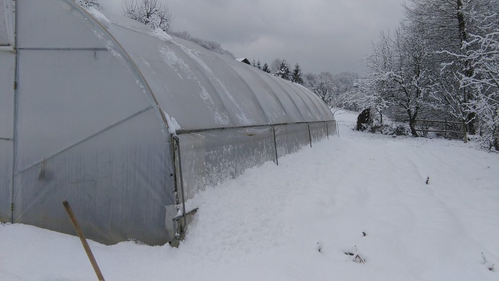 Snijeg koji spadne poslije udaraca iz unutrašnjosti plastenika stvara pritisak sa vanjske strane