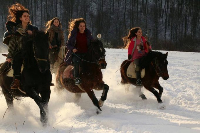 sestre bektic konji 1