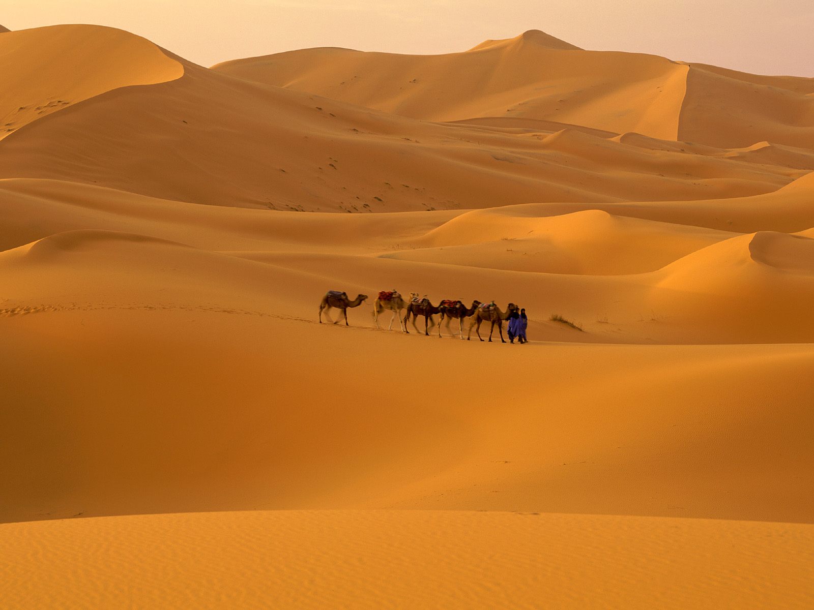 Sahara_Desert,_Morocco