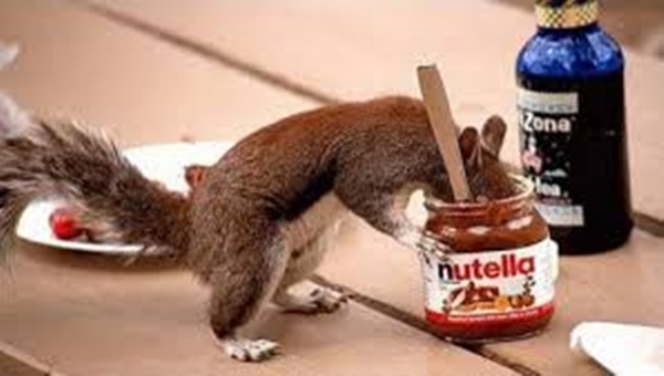 nutella