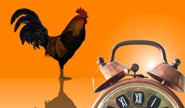 Pet stvari koje uspješni ljudi obave prije devet ujutro