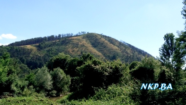 vis kalesija