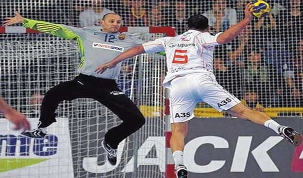 danijel saric