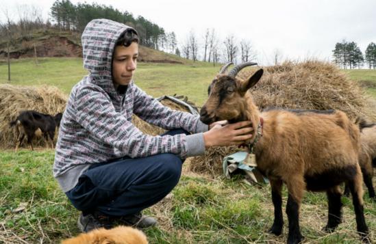 jasmin hackic KOZE i JARICI