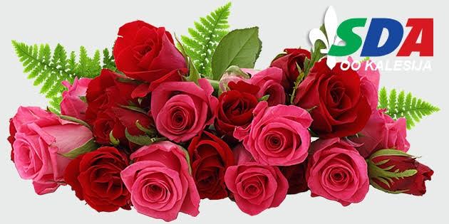 8.mart cestitka SDA