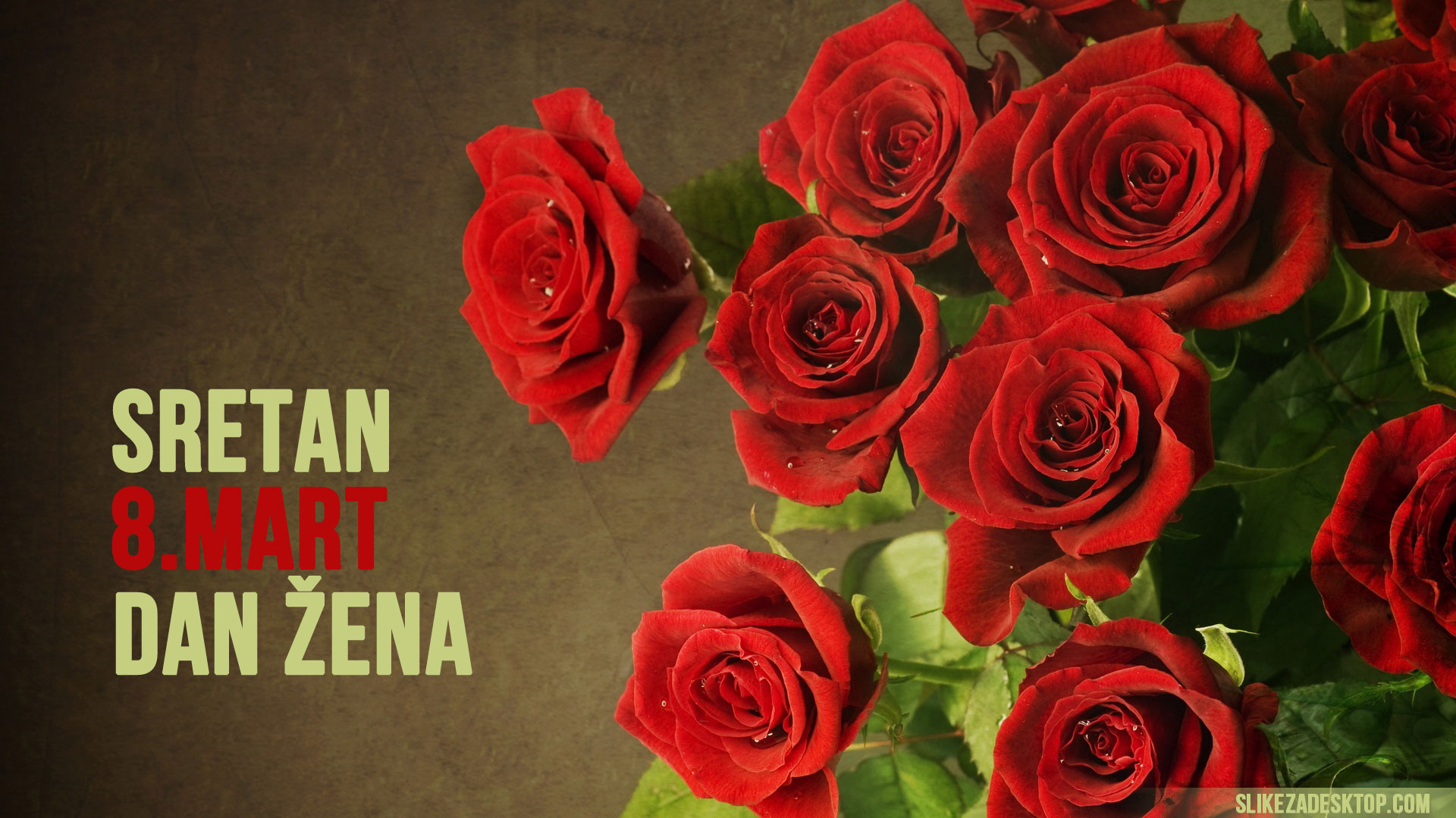dan zena 8.mart