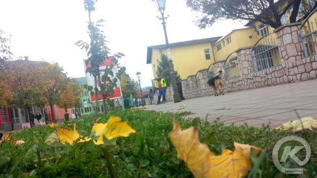 jesen-2016-002