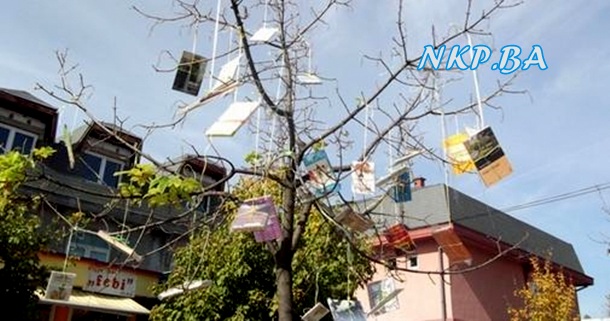 biblioteka-01