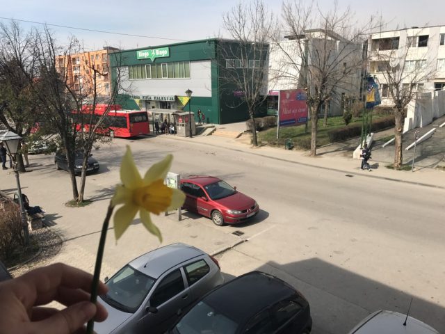 zeno majko sestro DAN NARCISA kalesija centar