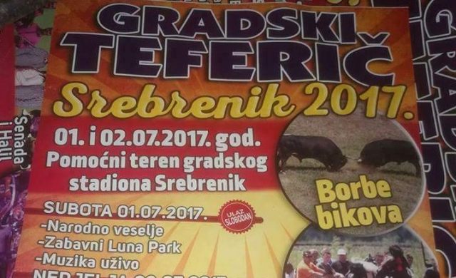 srebenik korida 2017 01