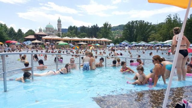 panonika juli 2017 3