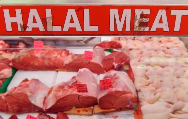 halal meso