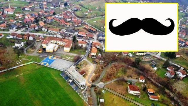 tojsici BRKOVI