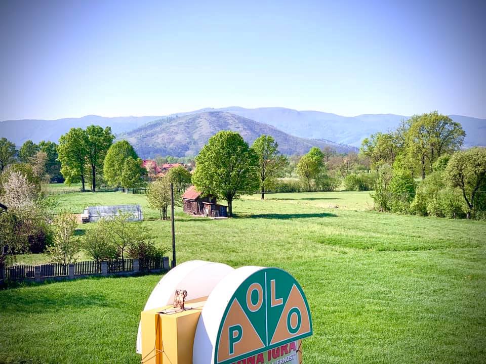 VIS PRIORIDA ljeto kalesija