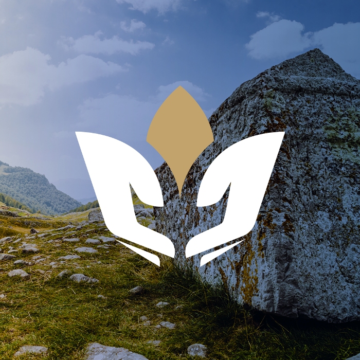 NIP PROFILNA 2022 – pop-up