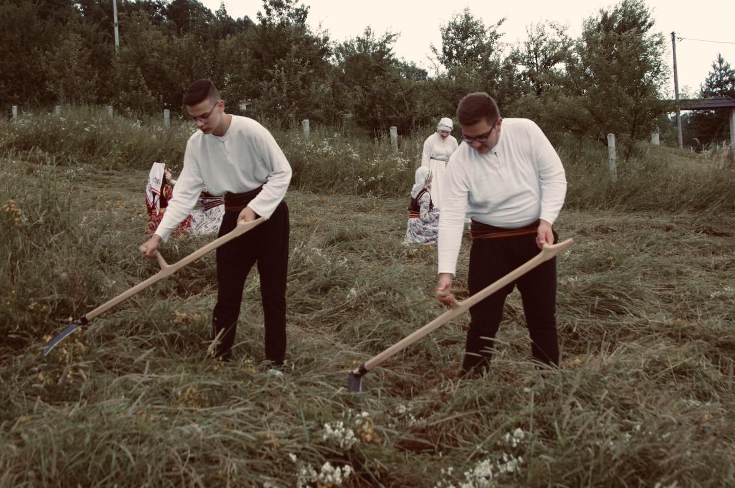 gkud halisije NOSNJA KOSCI