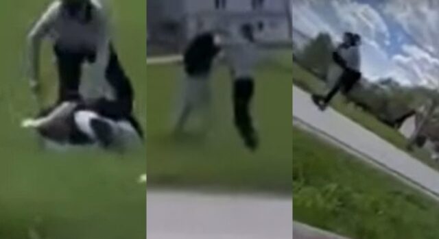 tuca kalesija maloljetnici delikvencija vrsnjacko nasilje 1