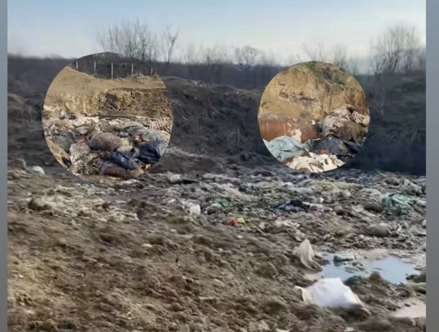 762BF205-B080-4383-83C9-E9B59E1D287E