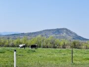 Kalesija: Servisne informacije za utorak, 14.04.2026