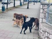 Kalesija: Servisne informacije za srijedu, 08.07.2026