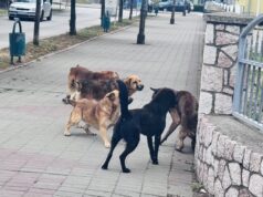 Kalesija: Servisne informacije za srijedu, 08.07.2026
