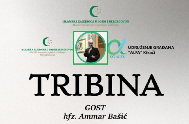 kikaci ammar basic 1